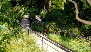 Empty pathway at AIDS Memorial Grove